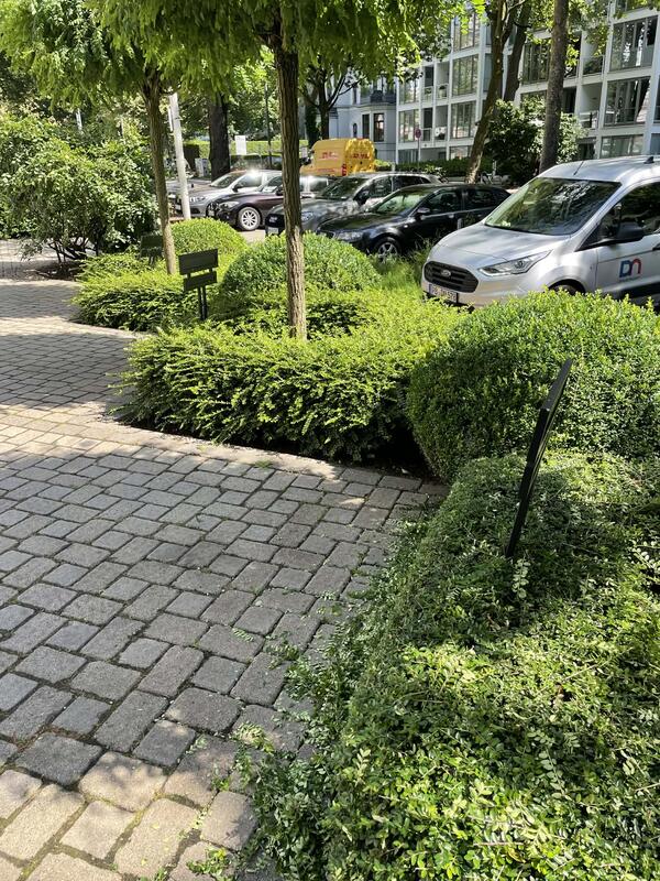 Öffentlicher Garten vor Pflege